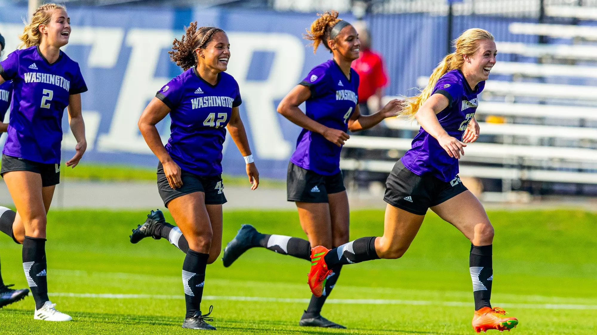 面对进攻火 面对进攻火